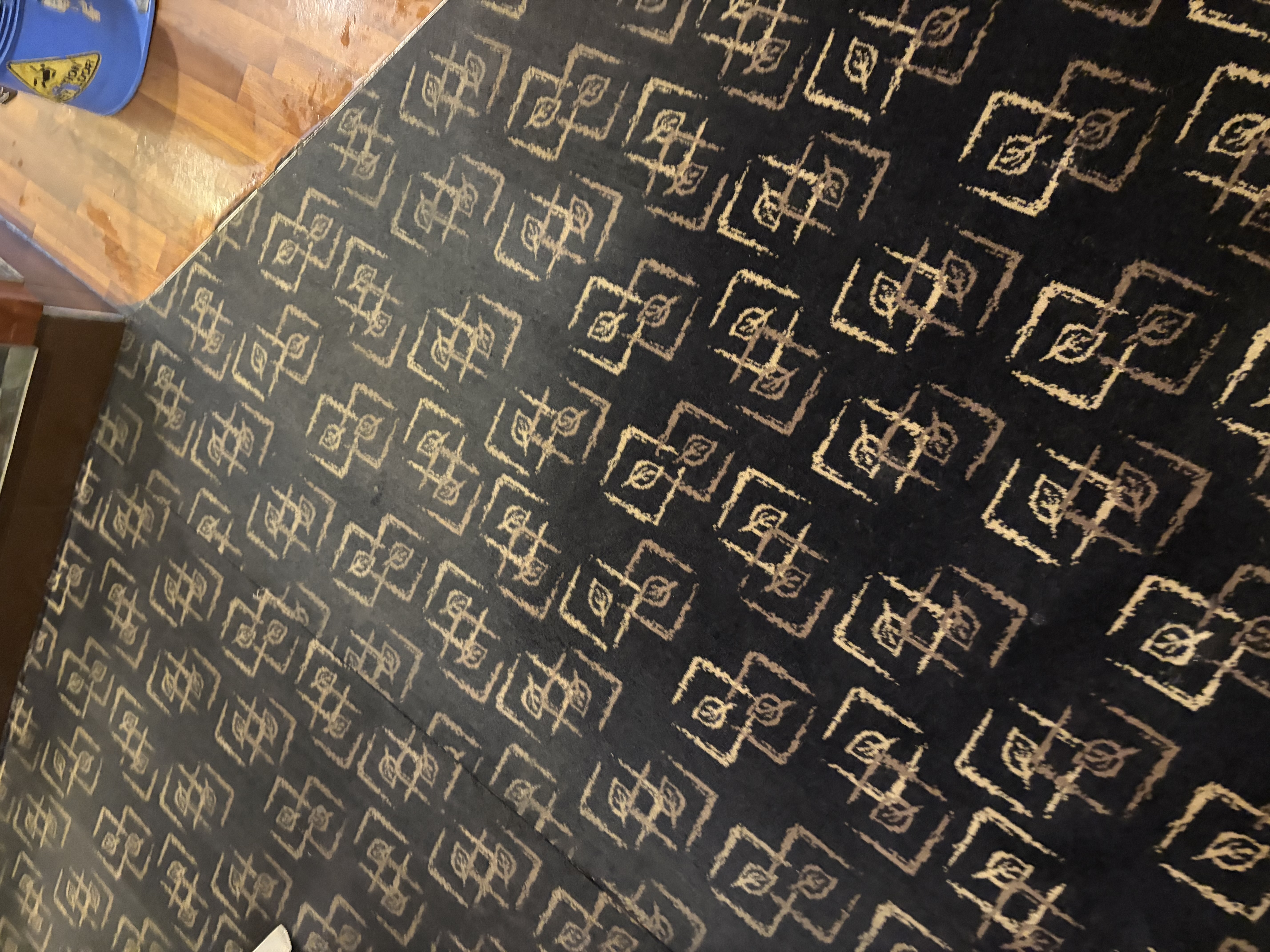 Venue carpet after clean